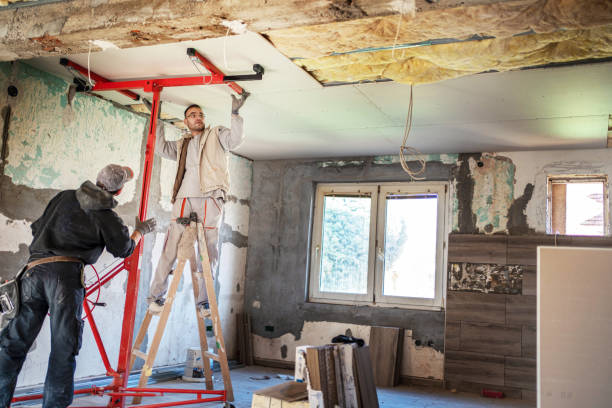 Best Insulation Maintenance and Repair in Lebanon Junction, KY