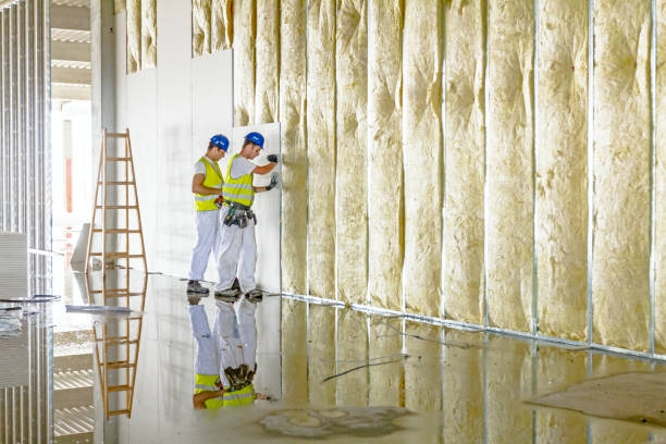 Professional Insulation Contractor in KY